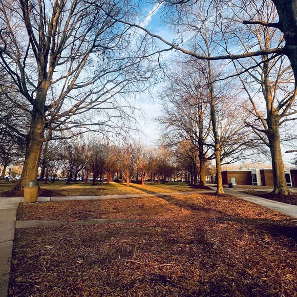 Meet your Posher, Londyn - Picture 1 of 1